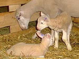 portrait de famille